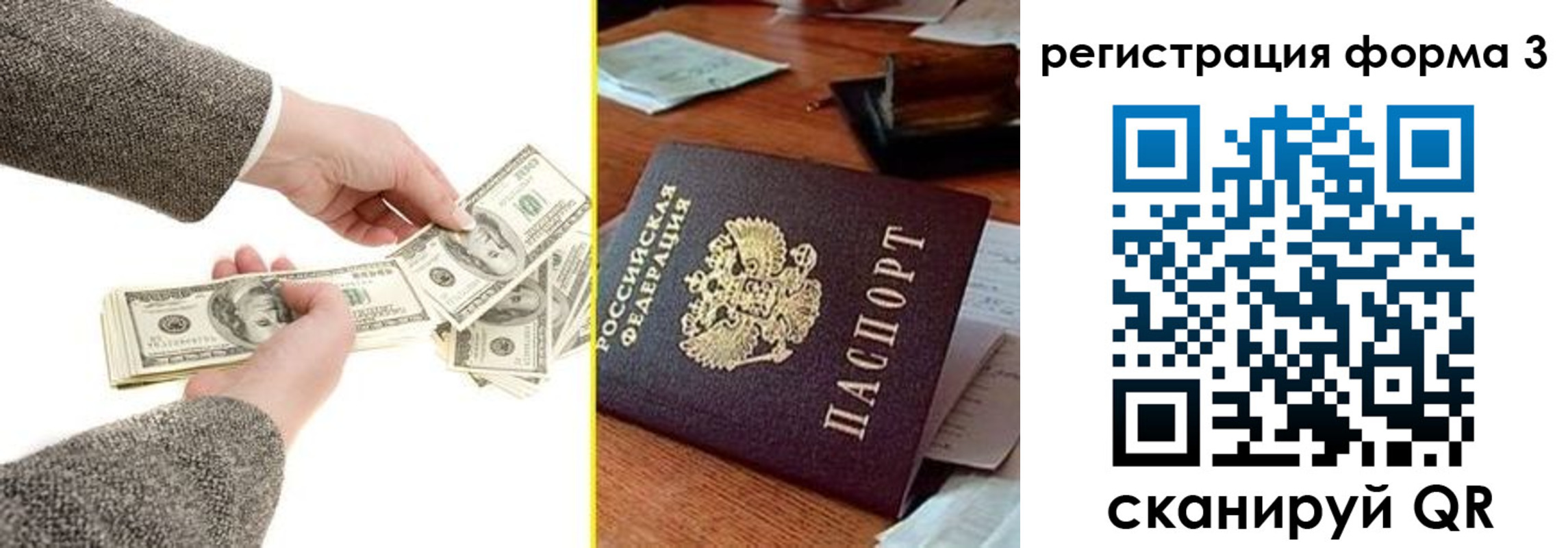 прописка гарантия в Приозерске